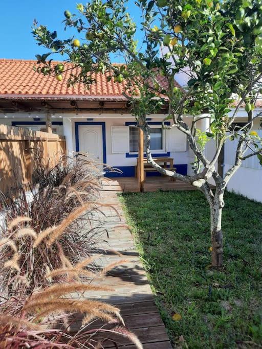 Sado House 3 Βίλα Comporta Εξωτερικό φωτογραφία